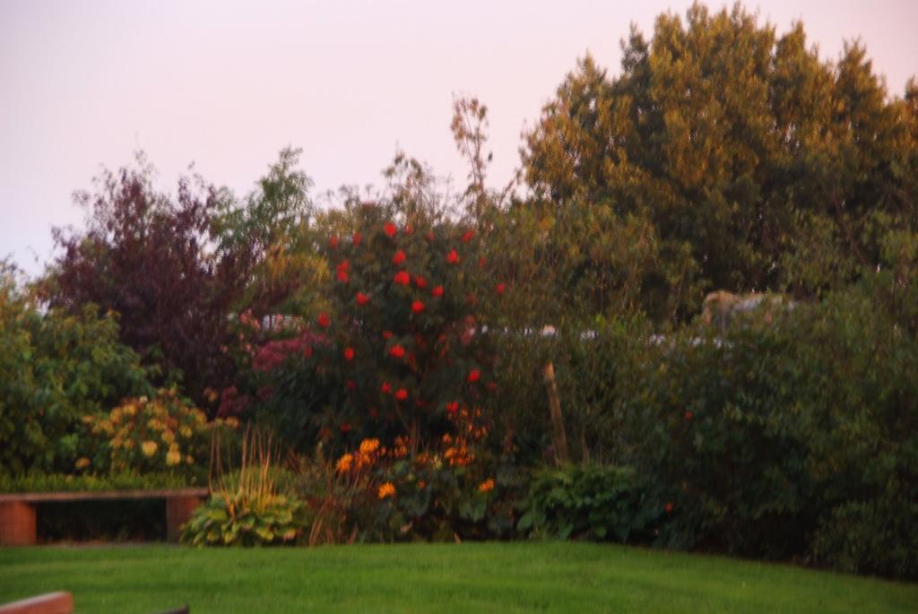 B&B Noflik Haule Bagian luar foto